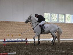 img_6017_web